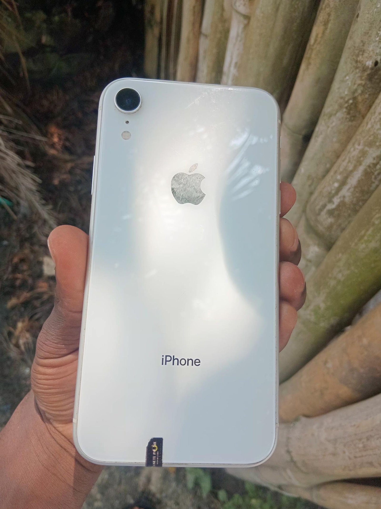 iPhone XR